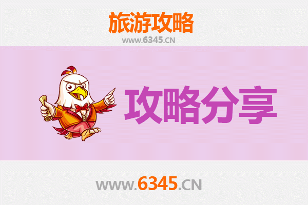 阿拉尔兵团八团旅游攻略：跟团与自由行深度解析